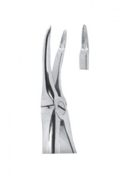 Extracting Forceps
